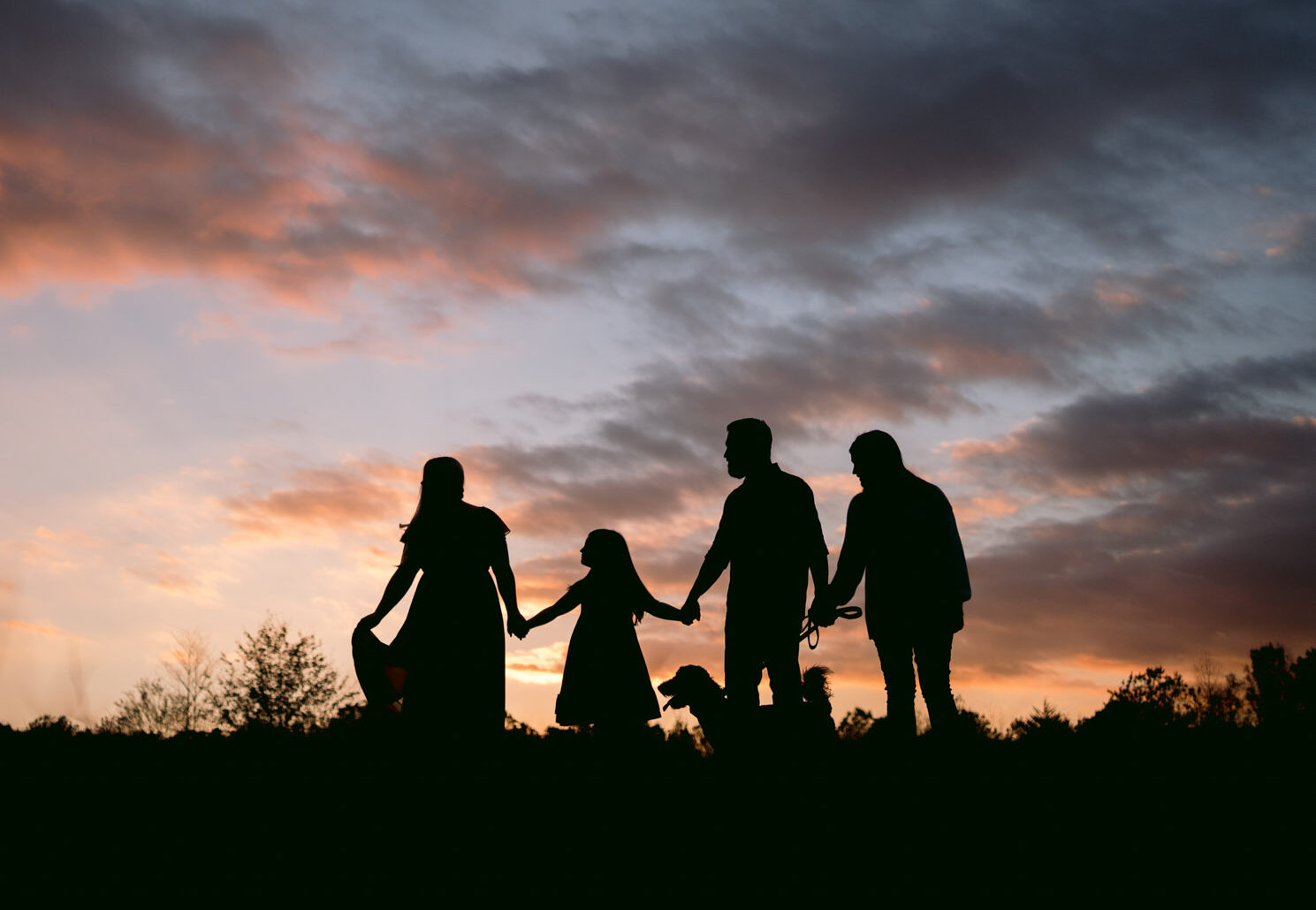 Family stands together holding hands in a field at sunset.